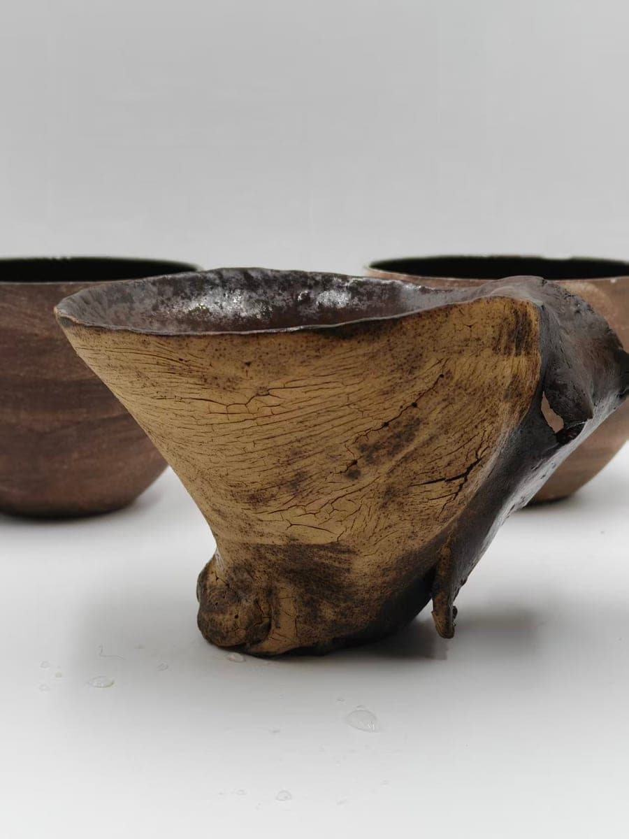 Organic Form Ceramic Tea Bowl — Wood-Fired Look